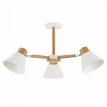 Потолочная люстра Evoluce Buve SLE103702-03 (220V)