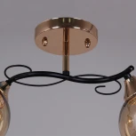 Потолочная люстра на штанге Reluce 06073-0.3-02 FG+BK