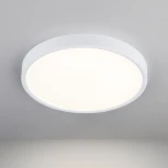 Потолочный светильник круглый Elektrostandard DLR020-DLS020 DLR034 24W 4200K (LED, 220V, круглые)