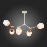 Потолочная люстра на штанге Evoluce Ciotolla SLE113502-05 (220V, шарики)