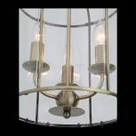 Подвесная люстра ST Luce Odierno SL267.303.03