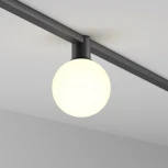Трековый светильник Maytoni Elasity Luna TR171-1-5W3K-WB (LED, 48V, шар)