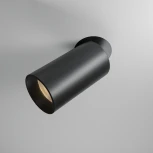 Встраиваемый светильник светодиодный под гипсокартон Maytoni Focus Led DL125-L12-4K-TRS-B (220V, круглые)