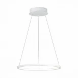 Подвесной светильник ST Luce St603 in ST603.543.22 (LED, 220V, на тросе, кольцо)