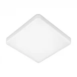 Потолочный светильник Elektrostandard DLS043 / DLR043 (LED, 220V)