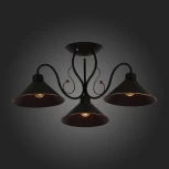 Потолочная люстра Evoluce Ciolla SLE120402-03