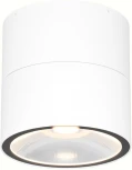 Уличный потолочный светильник Maytoni Spin O310CL-L12W3K (LED, 220V, круглые, IP54)