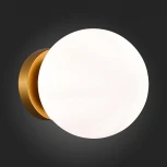 Настенно-потолочный светильник Acini SL717.201.01 Evoluce