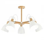 Потолочная люстра Evoluce Balcamo SLE103802-05