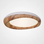 Потолочный светильник круглый Runis D60 Light Brown ImperiumLoft Runis01 (219476-26) (LED, 220V, круглые)
