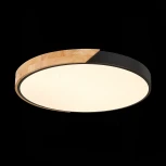 Потолочный светильник Evoluce Festa SLE200942-01