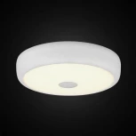Настенно-потолочный светильник Citilux Фостер-3 CL706320