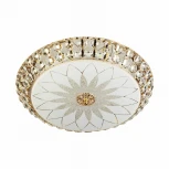 Потолочный светильник светодиодный с пультом с регулировкой цветовой температуры и яркости LED4U LED4U L1111-500 GD