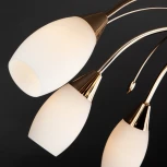 Потолочная люстра Eurosvet 22080 22080/9 золото