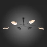 Потолочная люстра ST Luce Spruzzo SL305.402.06 (220V)