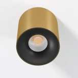 Светильник потолочный светодиодный Elektrostandard Primo 25116/LED 12W 3000K латунь 12W 3000K латунь (220V, круглые)