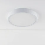 Потолочный светильник круглый Elektrostandard DLR020-DLS020 DLR034 18W 4200K (LED, 220V, круглые)