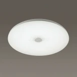 Потолочный светильник Sonex Roki Muzcolor 4629/EL