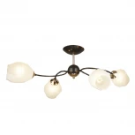 Потолочная люстра Wedo Light Falczes 66598.01.15.04