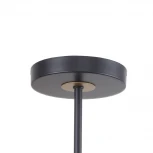 Потолочная люстра на штанге F-Promo Rigor 2844-8P (220V)