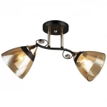 Потолочная люстра Imex MD.3807-2-S BK+FGD