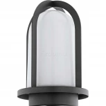 Настенный светильник уличный Eglo Paullo 97227 (220V)