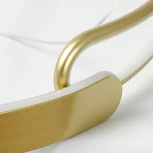 Подвесной светильник Lussole Bradford LSP-7161 (LED, 220V, на тросе, круглые)