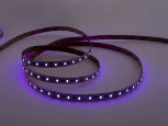 Светодиодная лента 19,2Вт/м 24В 5м LEDS POWER 004143