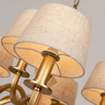 Подвесная люстра Divinare Florence 6819/19 SP-12 (220V, на цепи)