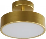 Потолочный светильник круглый F-Promo Atma 3059-2P (LED, 220V, круглые)