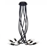 Потолочная люстра Loft IT Roots LOFT1714-BL