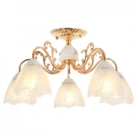 Потолочная люстра MyFar Nicole MR1661-5C (220V)