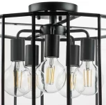 Потолочная люстра Lightstar Genni 798257 (220V, круглые)