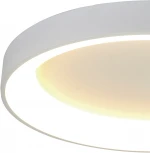 Потолочный светильник круглый Mantra Niseko 8578 (регулировка яркости, LED, 220V, пульт управления, круглые)