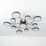 Потолочная люстра с пультом на штанге LED Lu Carte LC-11-1722