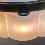 Подвесной светильник Lightstar Nibbler 812186 (220V, на тросе, цветы)