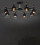 Потолочная люстра на штанге Seven Fires Olban SF3389/8C-BK-WD