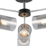 Потолочная люстра на штанге ILLUMICO IL8249-6COU-79 BK CR (220V)