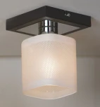 Накладной точечный светильник Lussole Loft Costanzo GRLSL-9007-01 (220V, IP21)