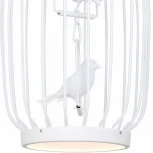 Подвесной светильник Favourite Chick 1929-2P (LED, 220V, на цепи, птички, клетка)