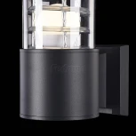 Настенный светильник уличный Maytoni Bronx O576WL-01B (220V, IP54)