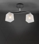 Потолочная люстра на штанге Seven Fires Aintre SF3377/2C-BK-CR-WT