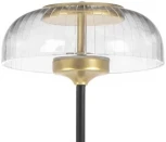 Торшер Lightstar Acrile 738773 (LED, 220V, выключатель)