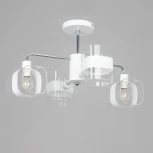 Потолочная люстра на штанге Бертон CL140140 Citilux (220V)