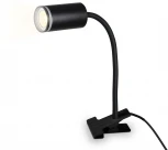 Офисная настольная лампа на прищепке Ambrella WALLERS FW2468 (220V, выключатель)