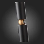 Подвесной светильник ST Luce Tuore SL1592.403.01