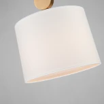 Подвесной светильник Favourite Roshe 2624-1P (220V, на проводе, круглые)