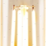 Лампочка светодиодная филаментная E27 3,5W 220V 220 lm 2200K белое теплое свечение Eglo Lm_led_e27 11554