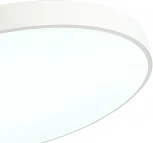 Потолочный светильник круглый светодиодный Zortes Tortty ZRS.02564.96 (220V, круглые, IP21)