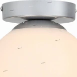 Настенно-потолочный светильник ST Luce Acini SL717.501.01